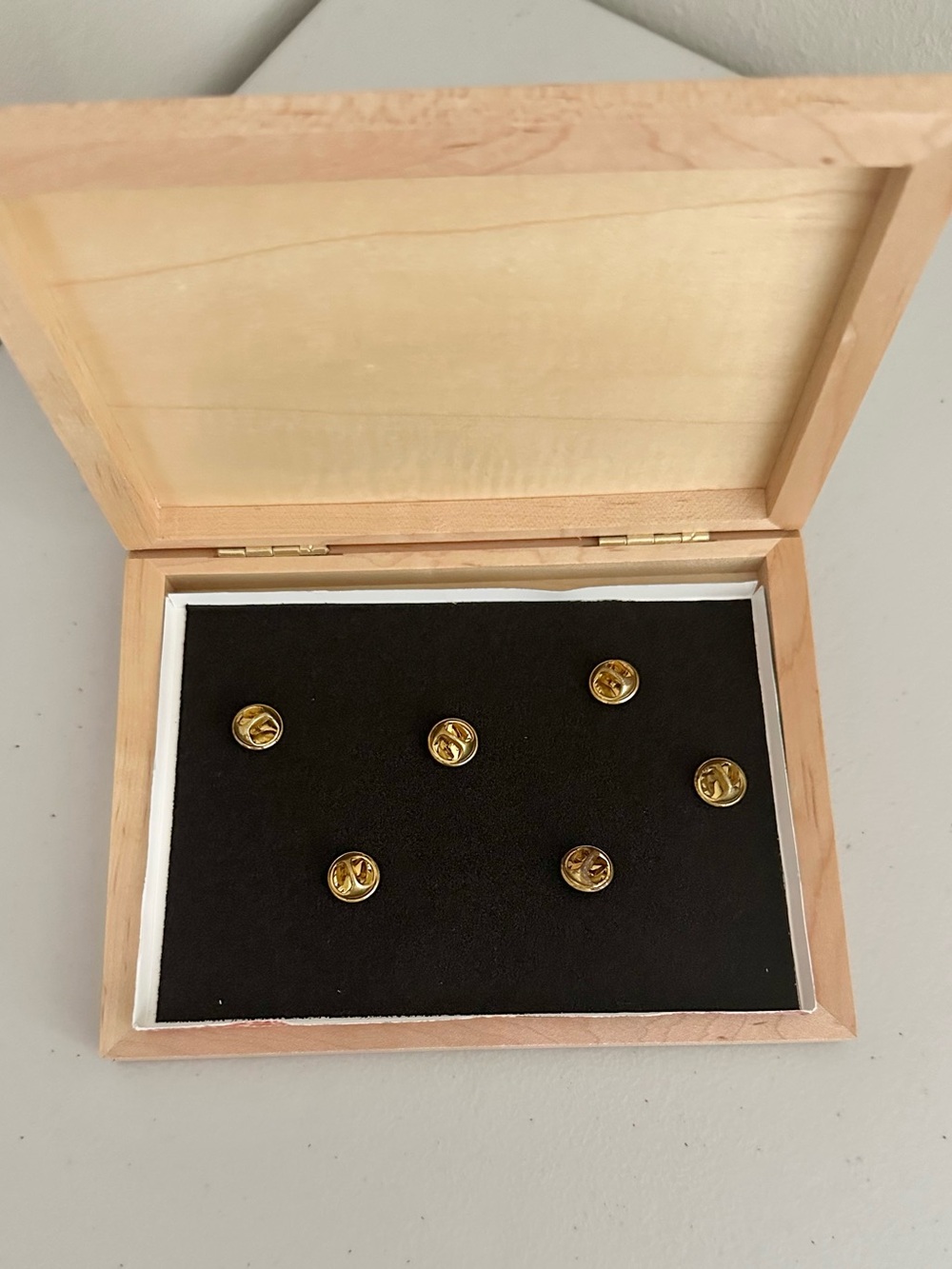 Wizard of Oz 1997 Warner Bros 6 Pin Collection Wooden Display Box RARE - Picture 2 of 6